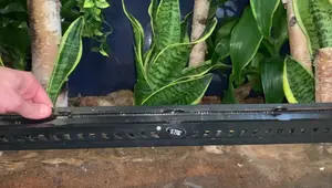 Fixing a Broken Terrarium Lock: A Step-by-Step Guide