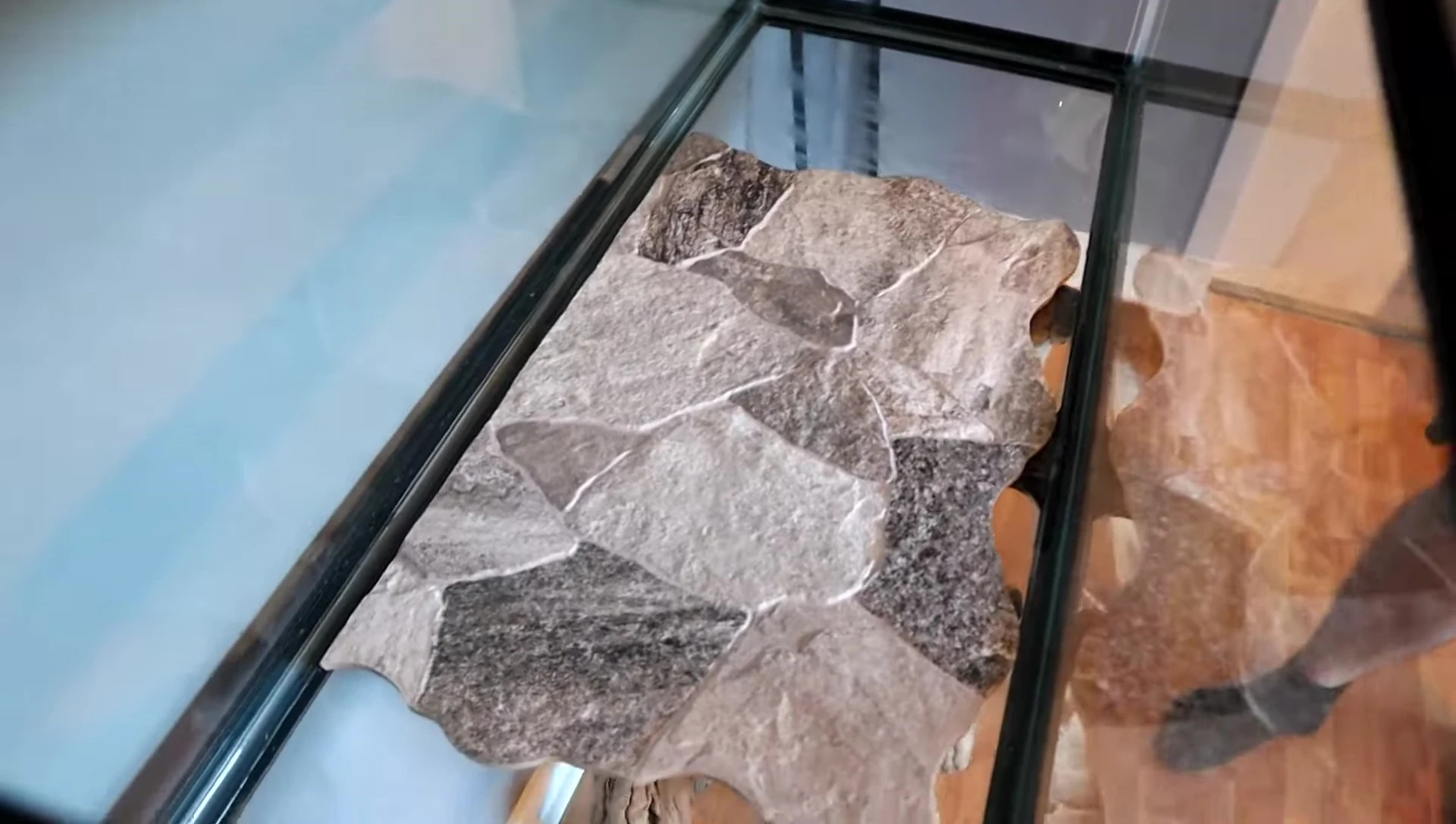 The tile placed in the center of the tank.