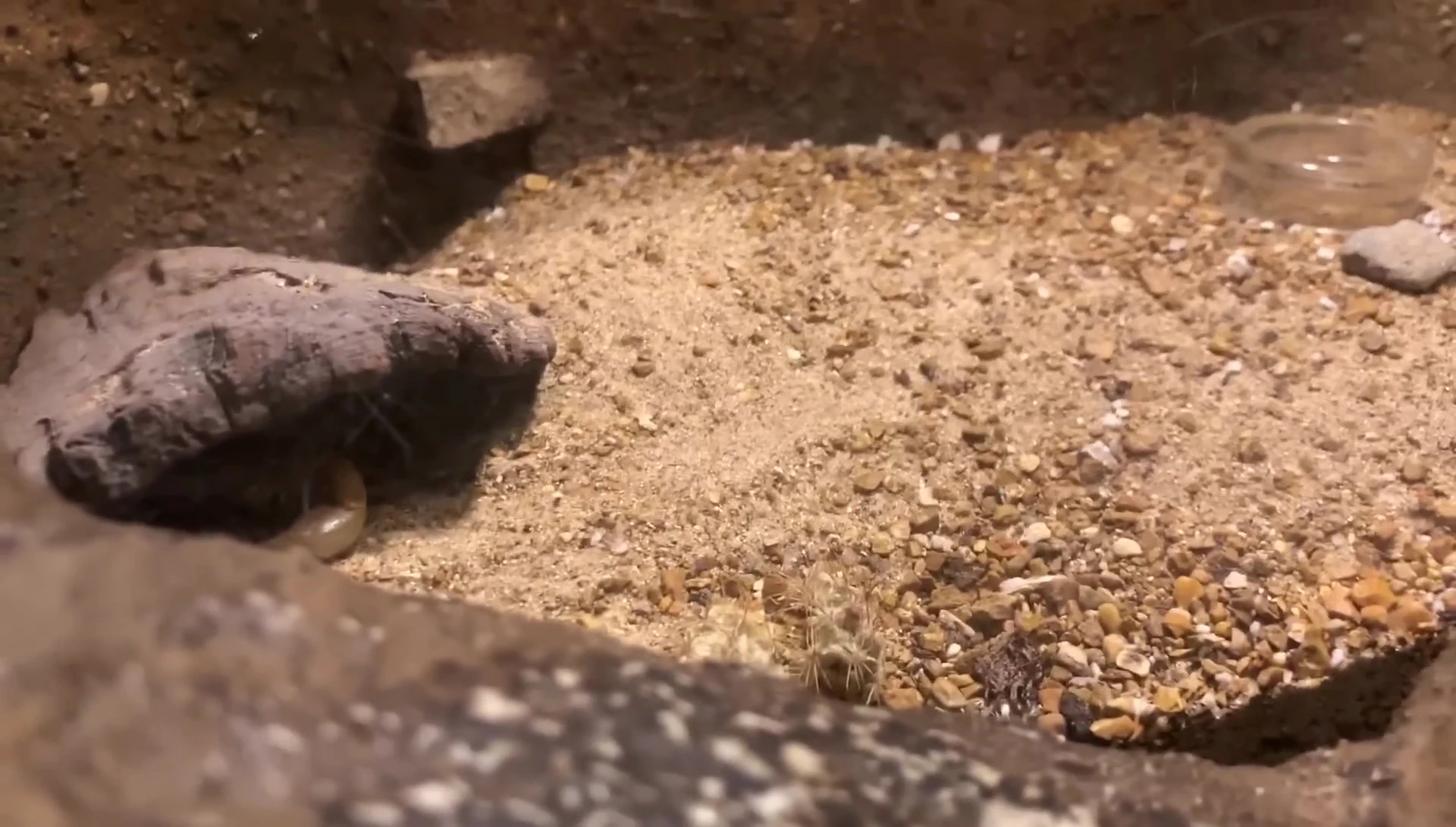 Close-up view of the limited hide and shallow sand.