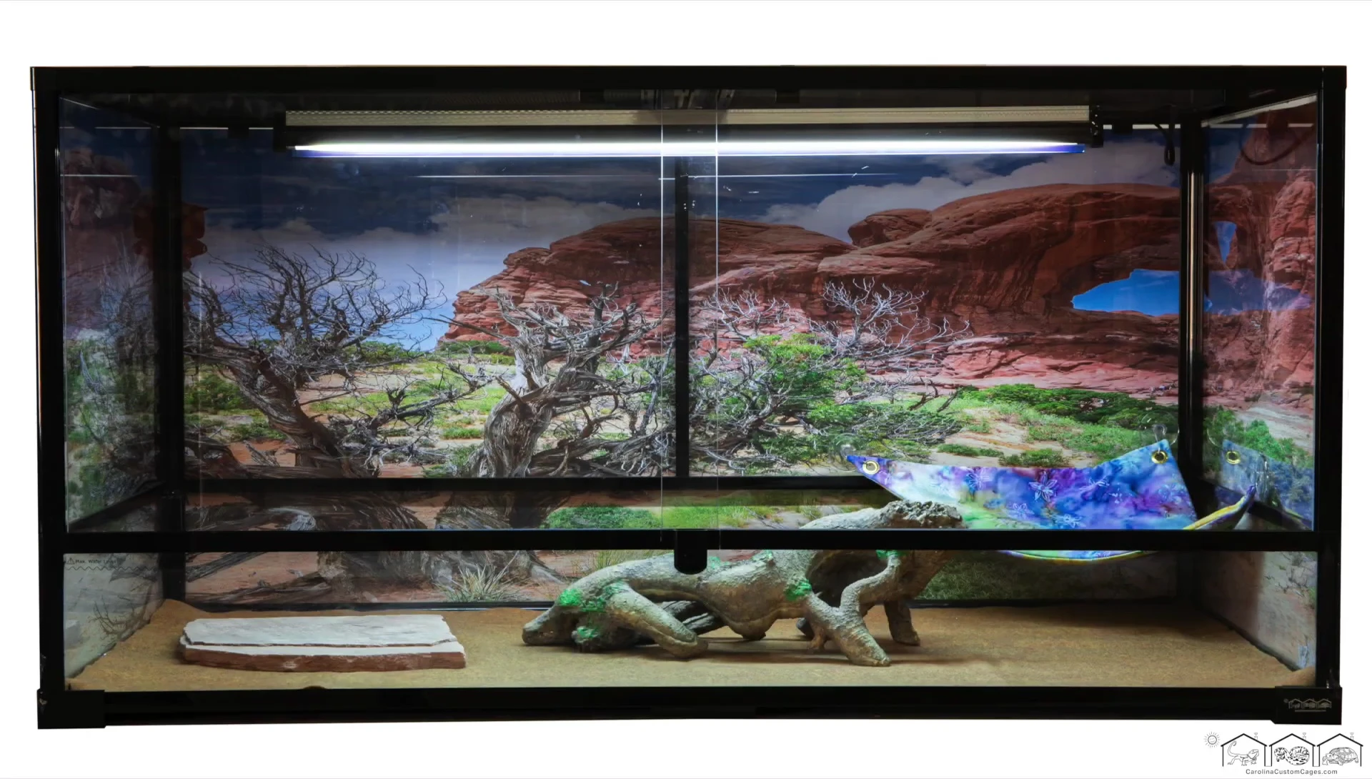 Positioning the fixture in the terrarium