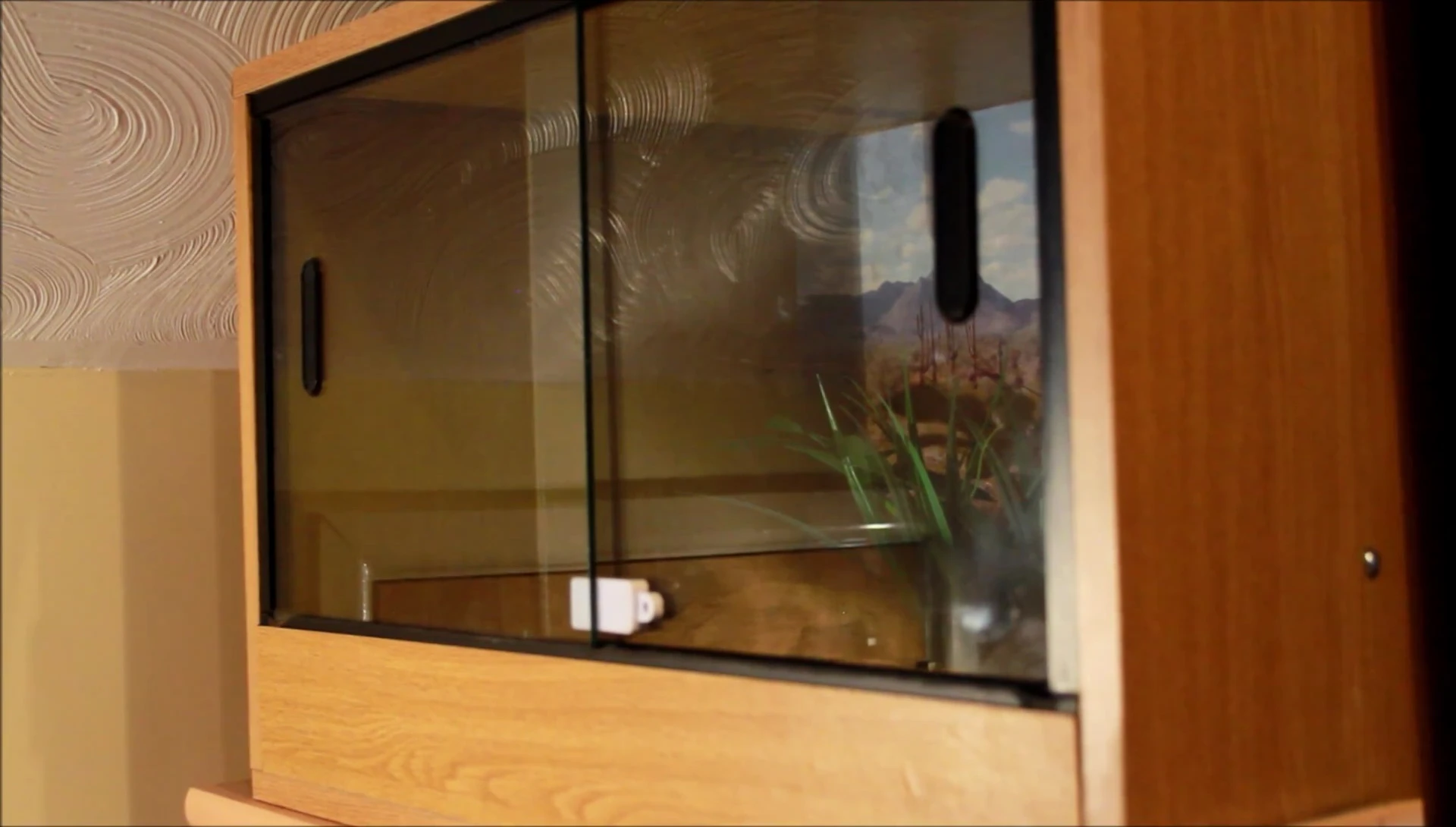A wooden vivarium showcasing its construction and design