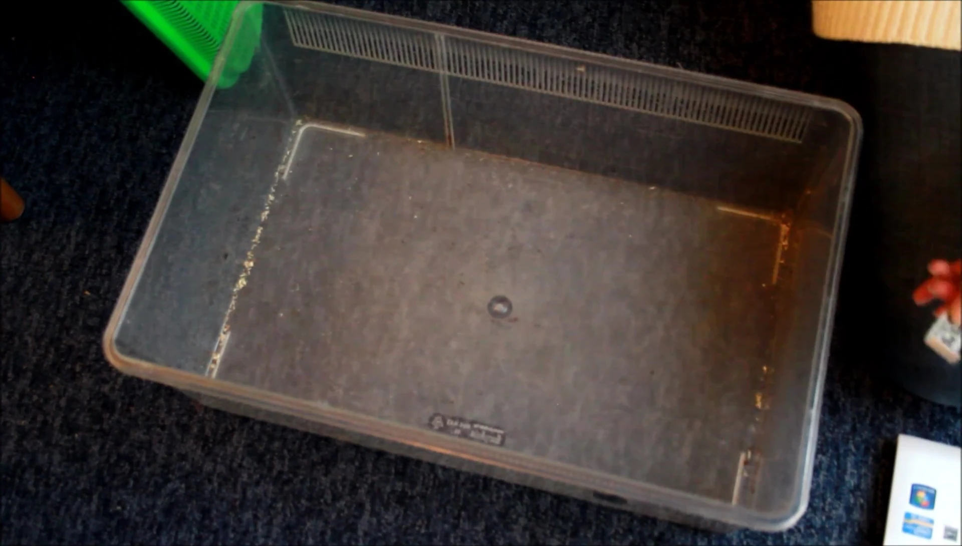 A plastic terrarium with dimensions labeled