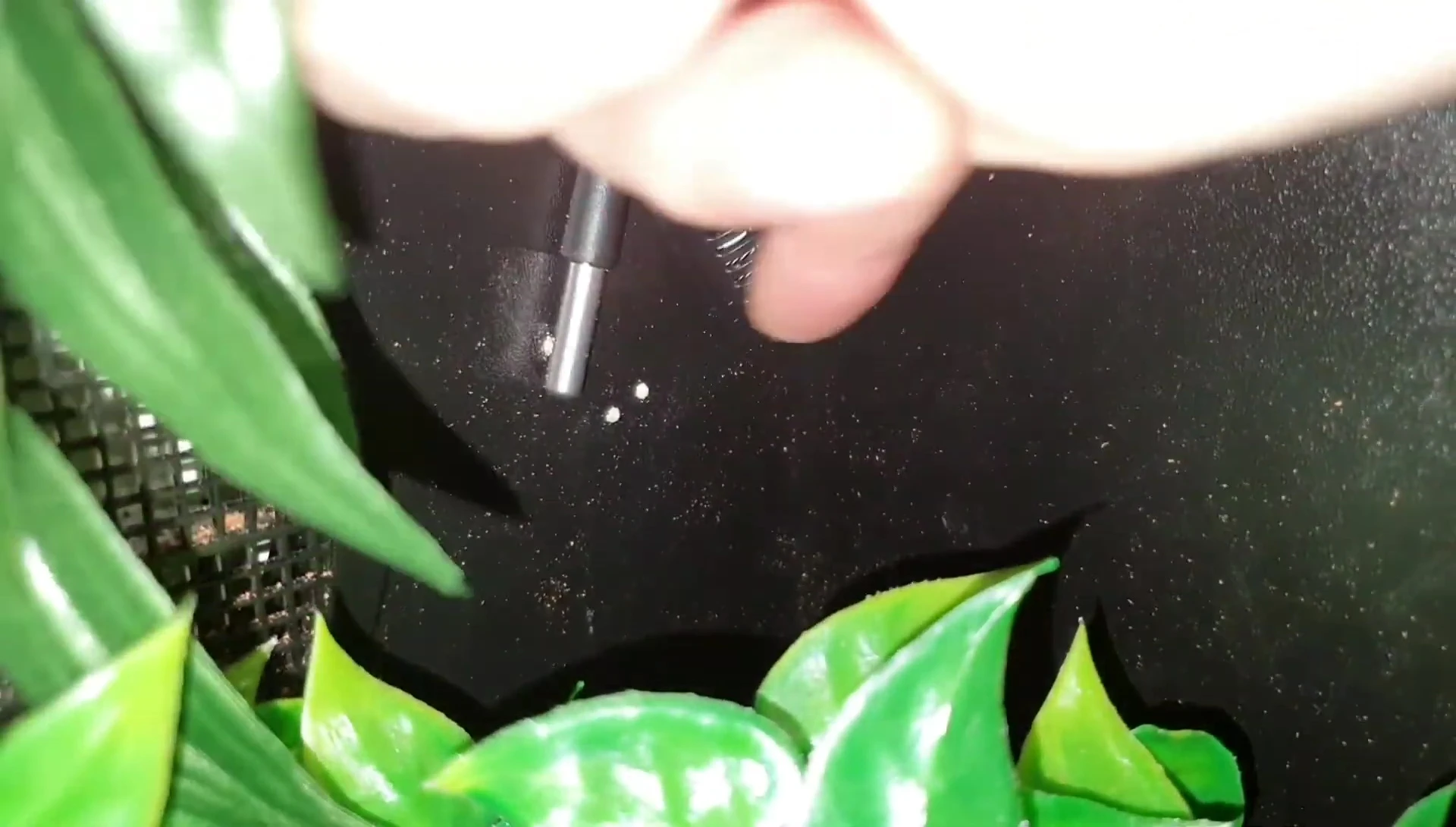 Close up of the probe with the hole for screwing