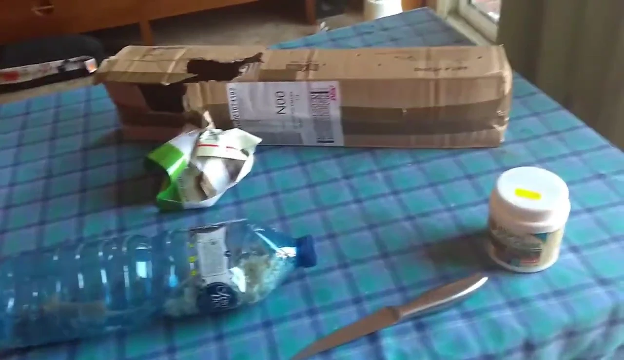 The opened package revealing the mice