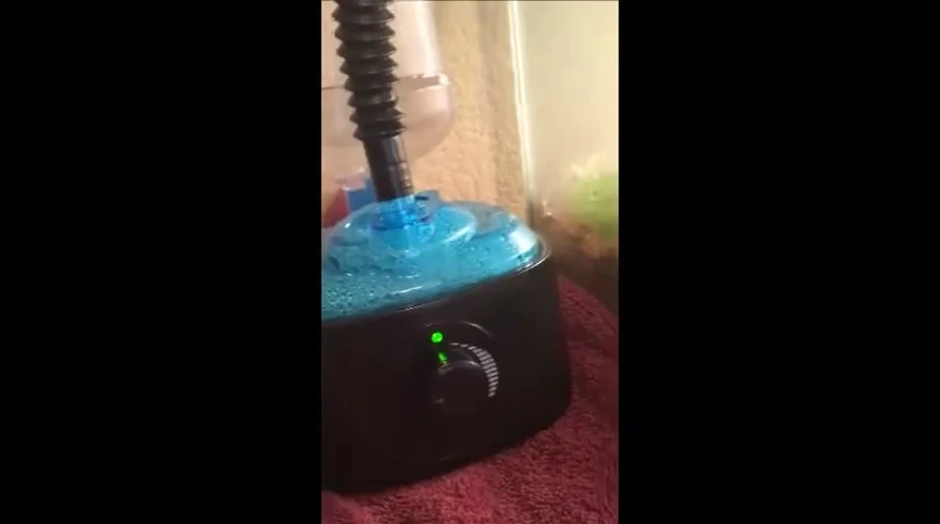 Showing the length of the power cord