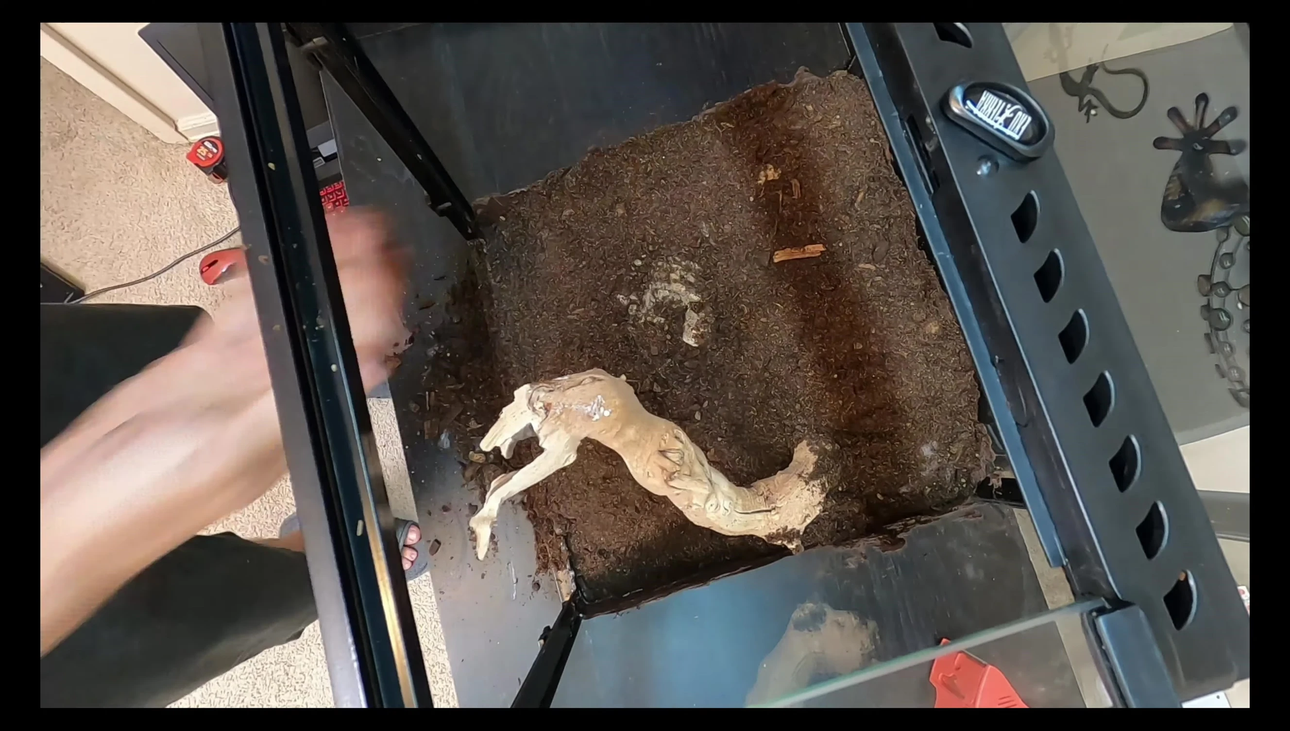 Dried substrate adhering to the background