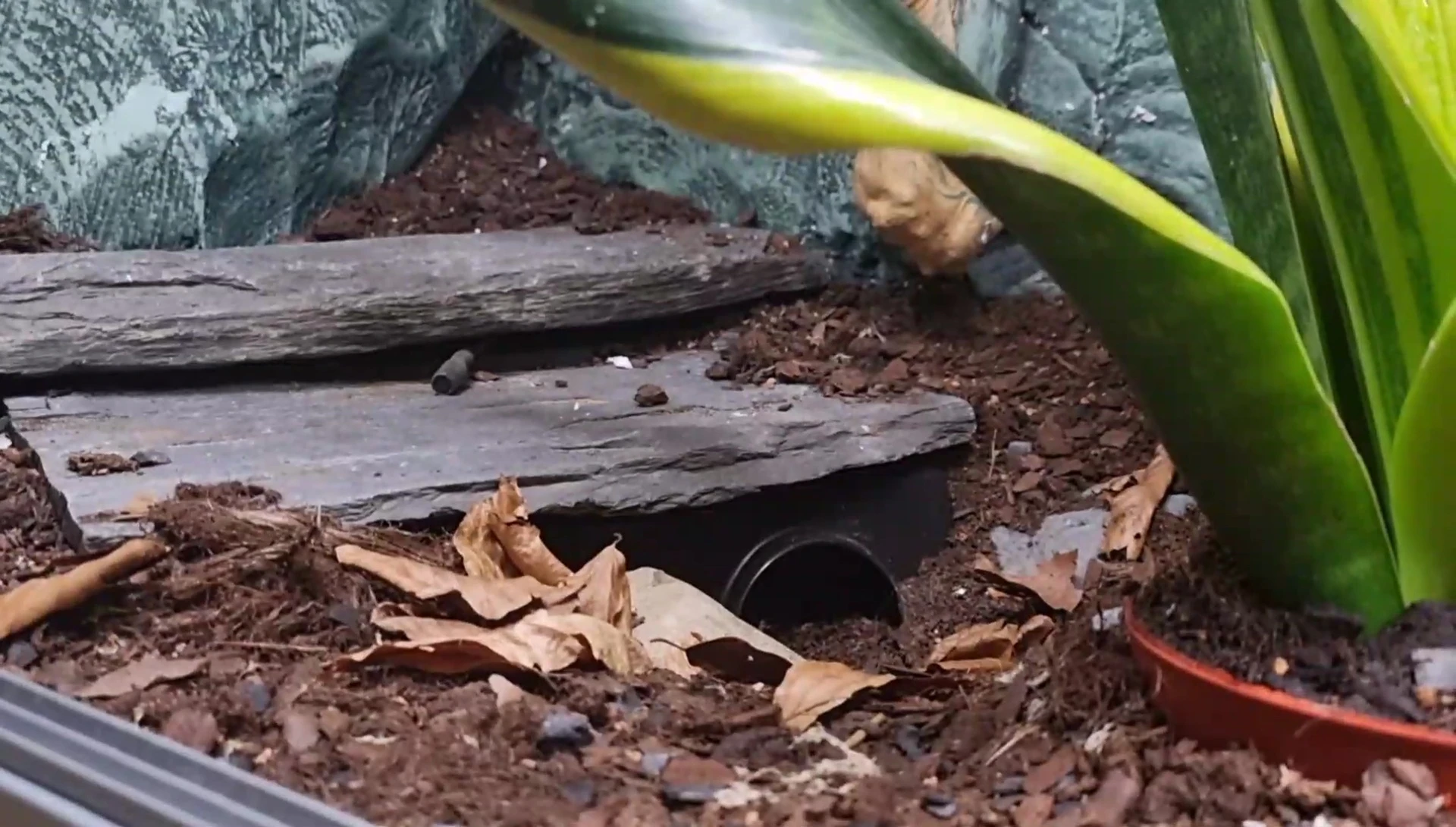 Substrate being poured directly into an enclosure.