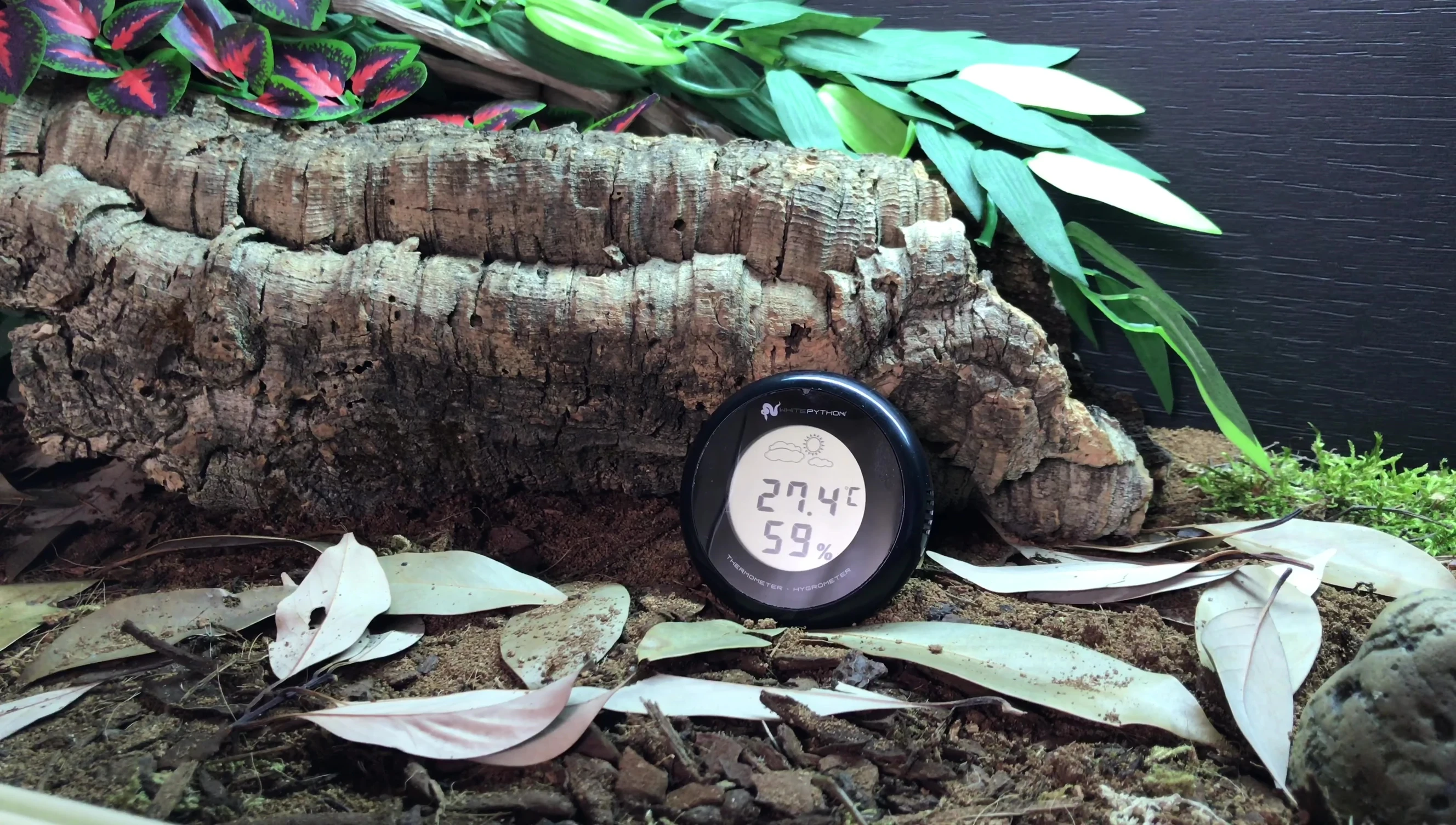 The device mounted in a reptile enclosure