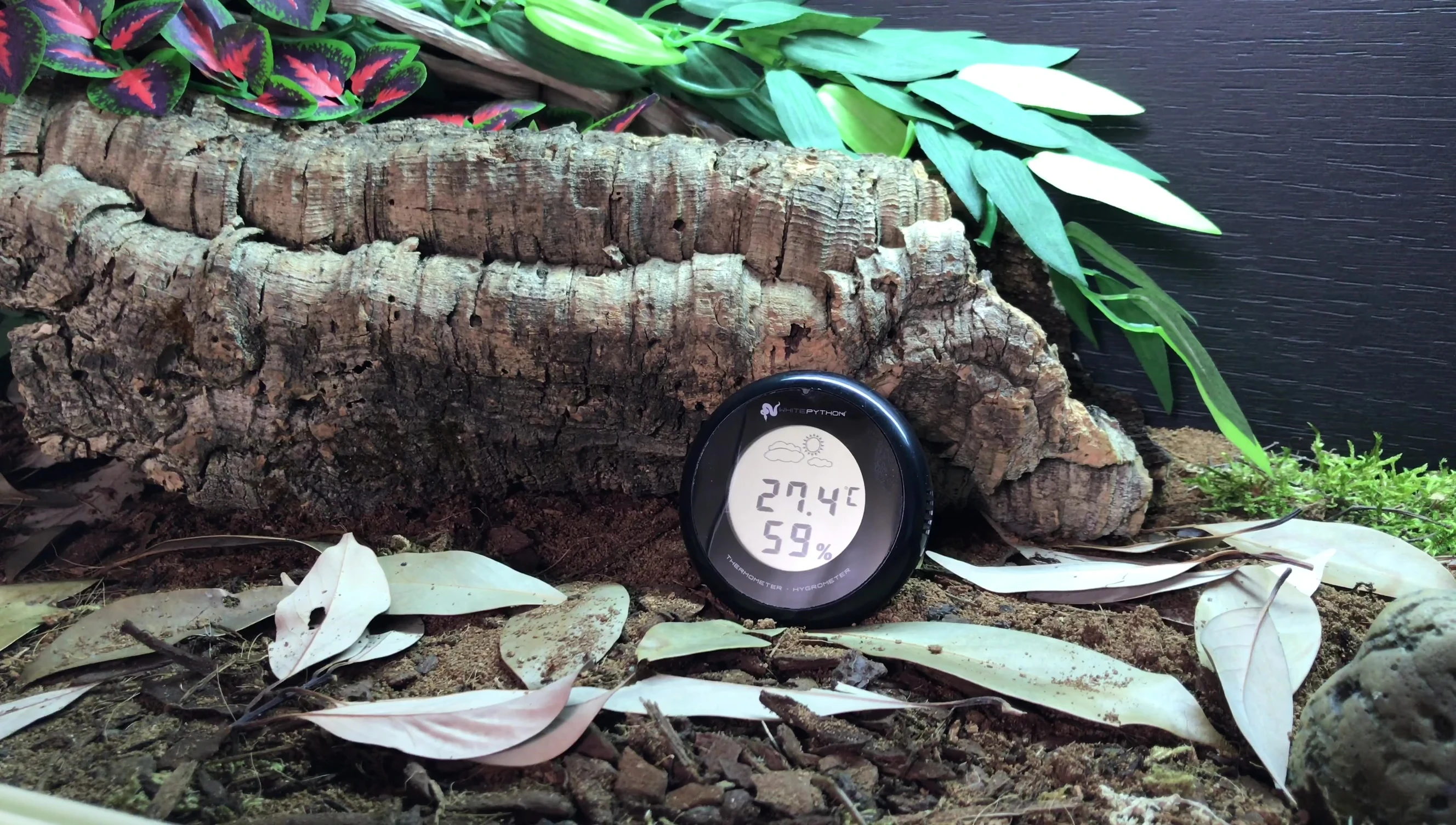 The device in use in a reptile enclosure