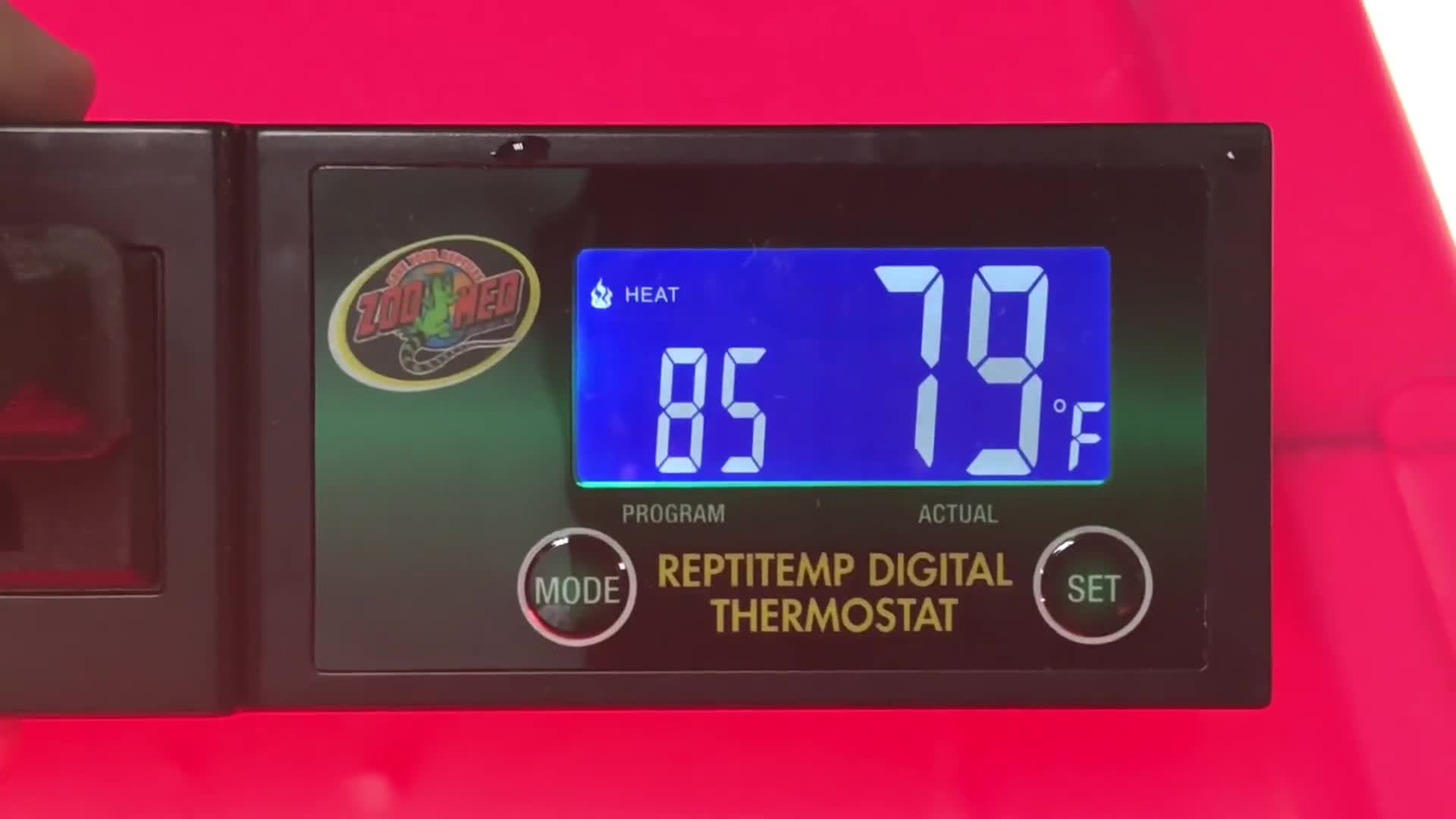 Zoo Med thermostat displayed