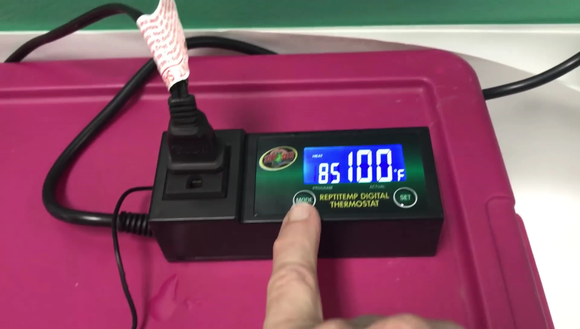 Thermostat probe in an egg incubator