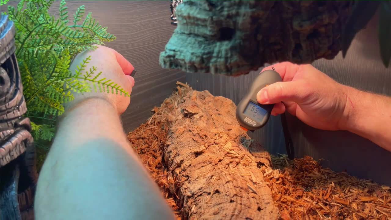 Temperature reading near the heat source