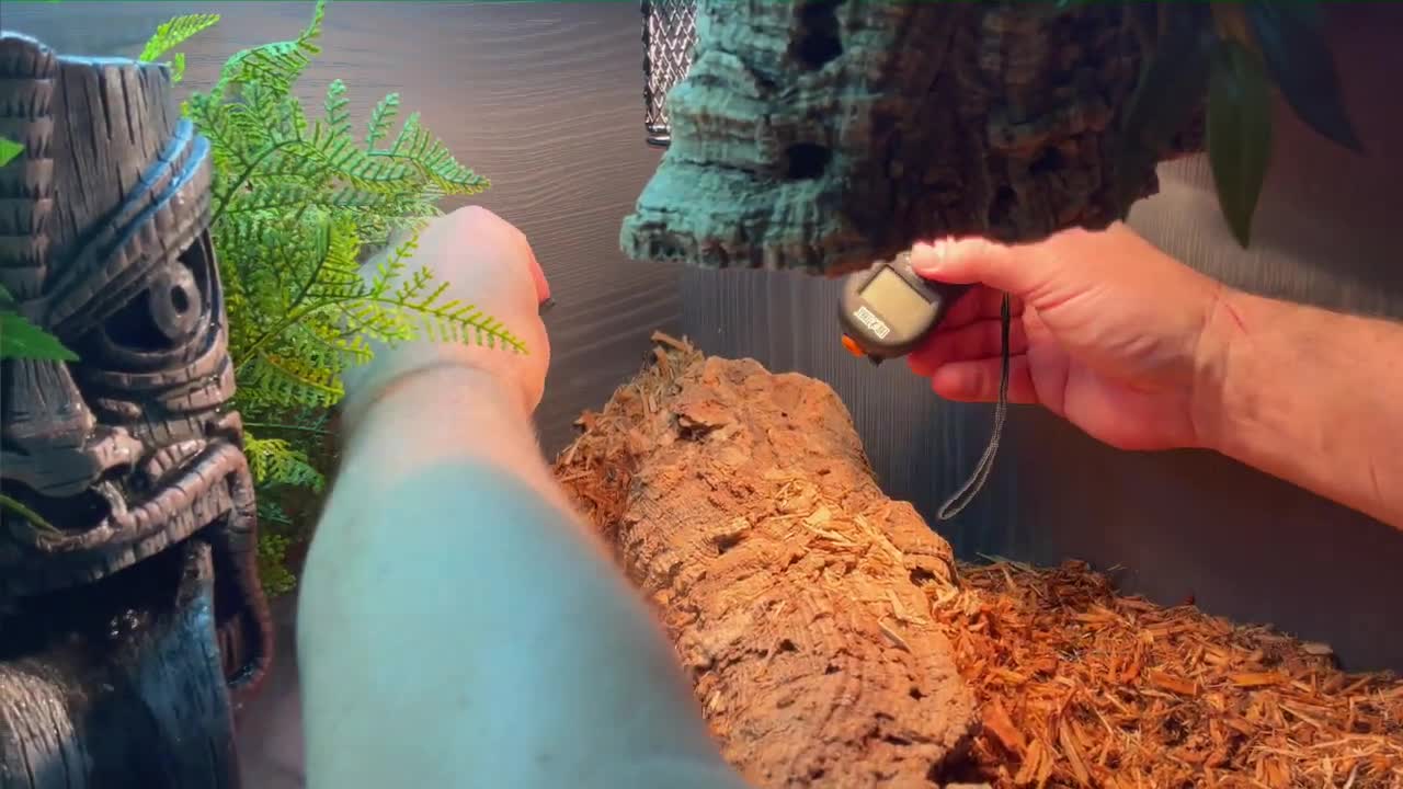 Probe placement underneath a heat source (Baskin bulb)