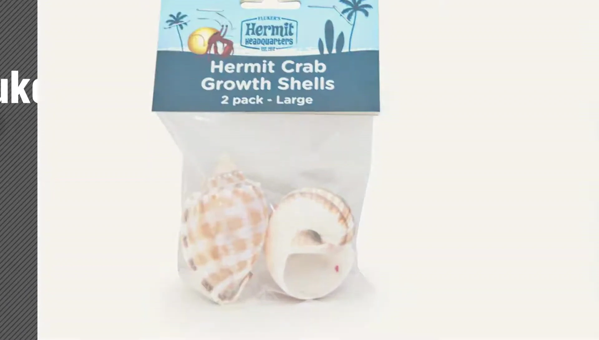 Penn Plax hideout shown in the video