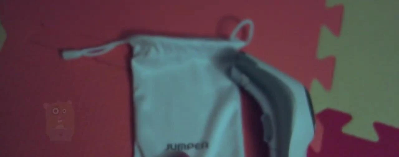 The thermometer in its carrying pouch.