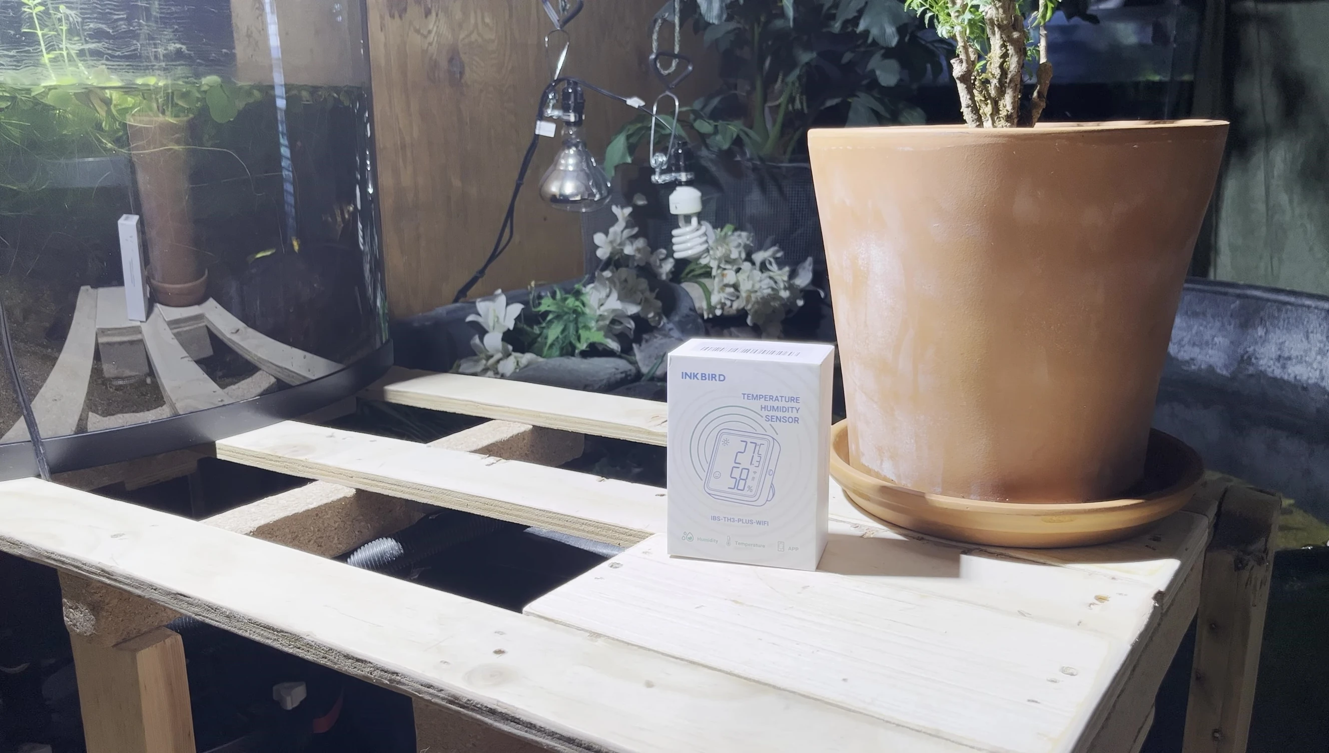 Alexa voice control in action