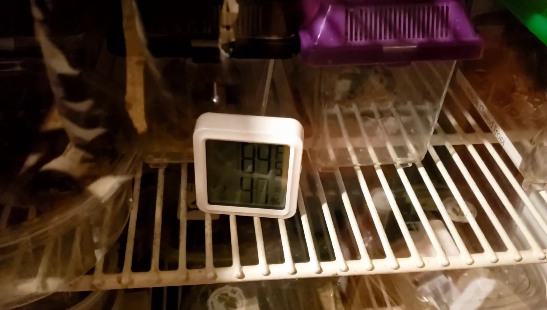 Thermometer in incubator