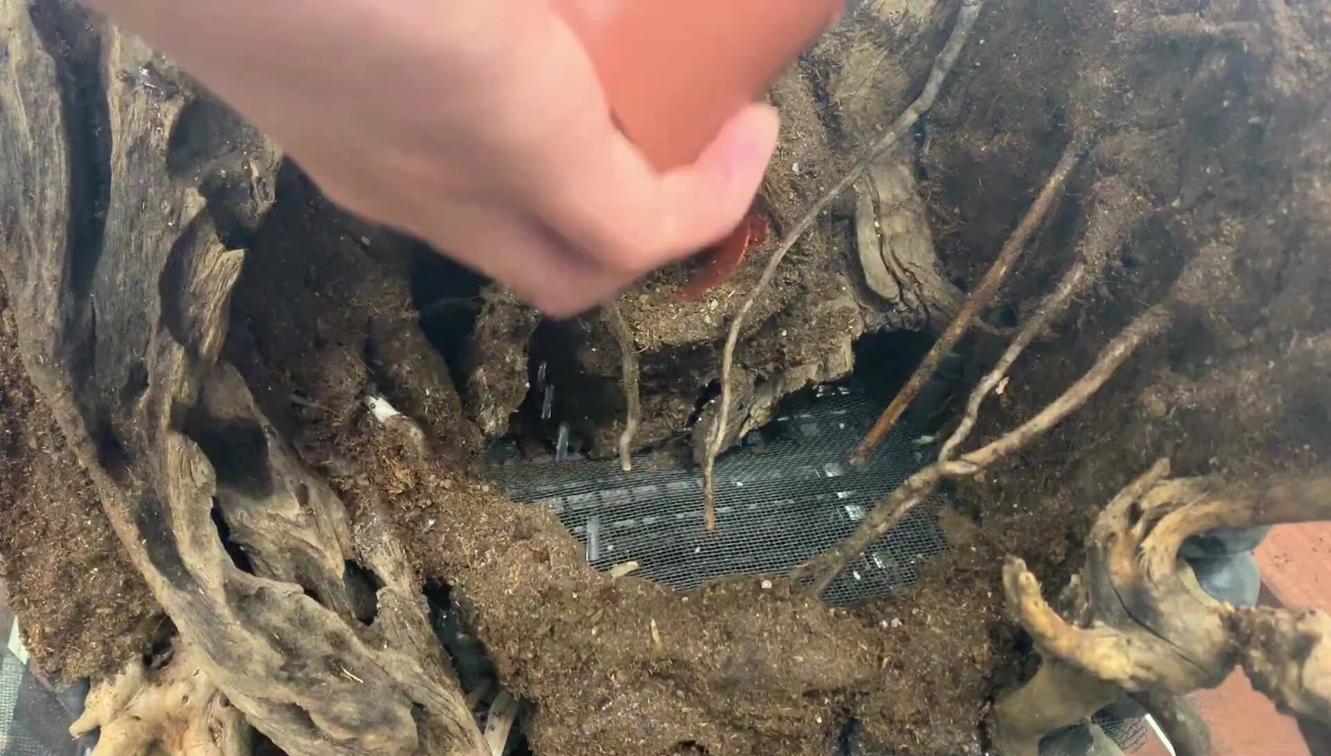 Adding hydro balls and insect mesh