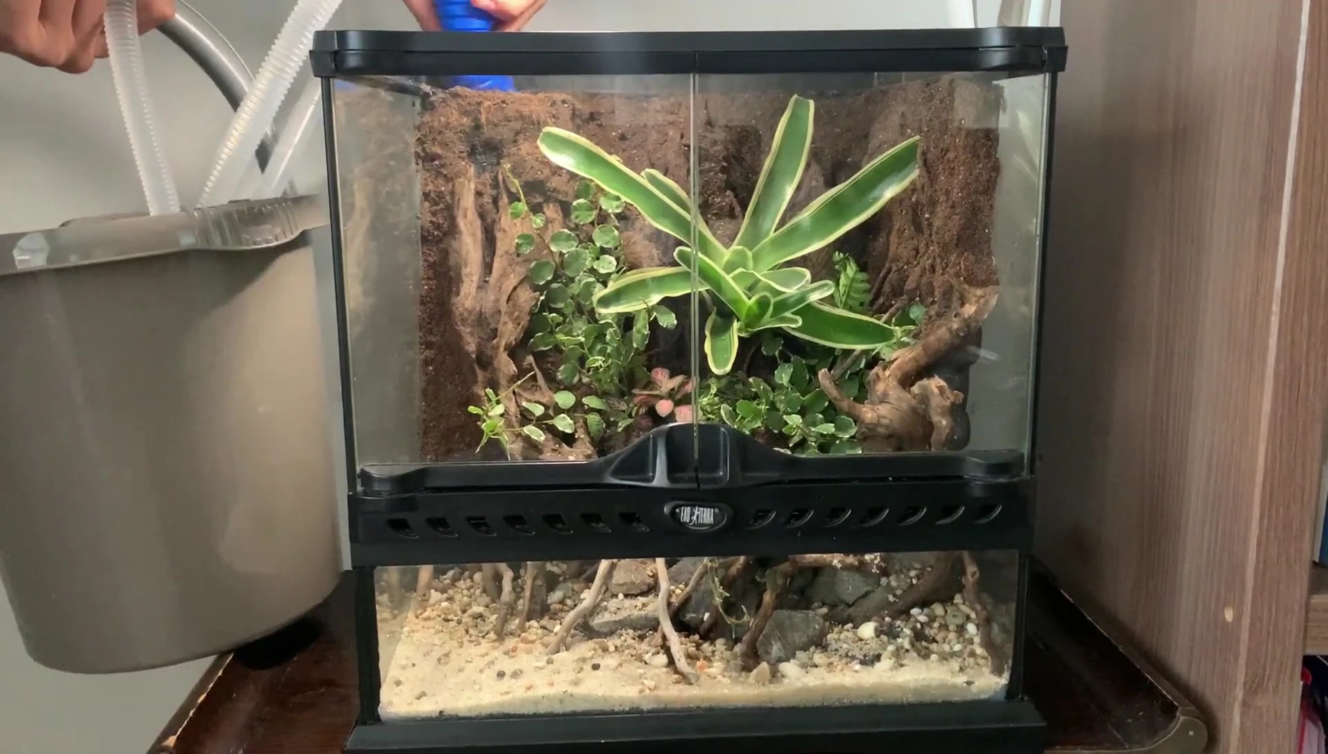 Pouring water into the tank