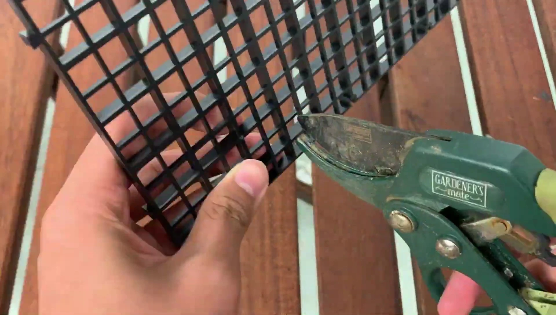 Creating the land portion using egg crate and insect mesh