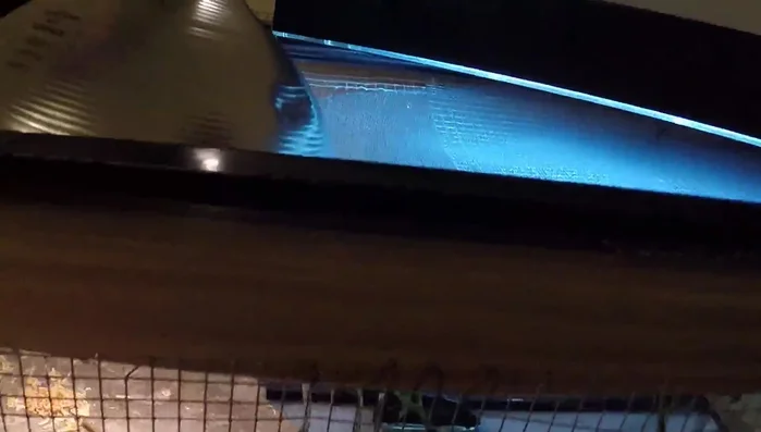 Use a fine mesh screen top to prevent escapes and protect the turtle from falling debris.