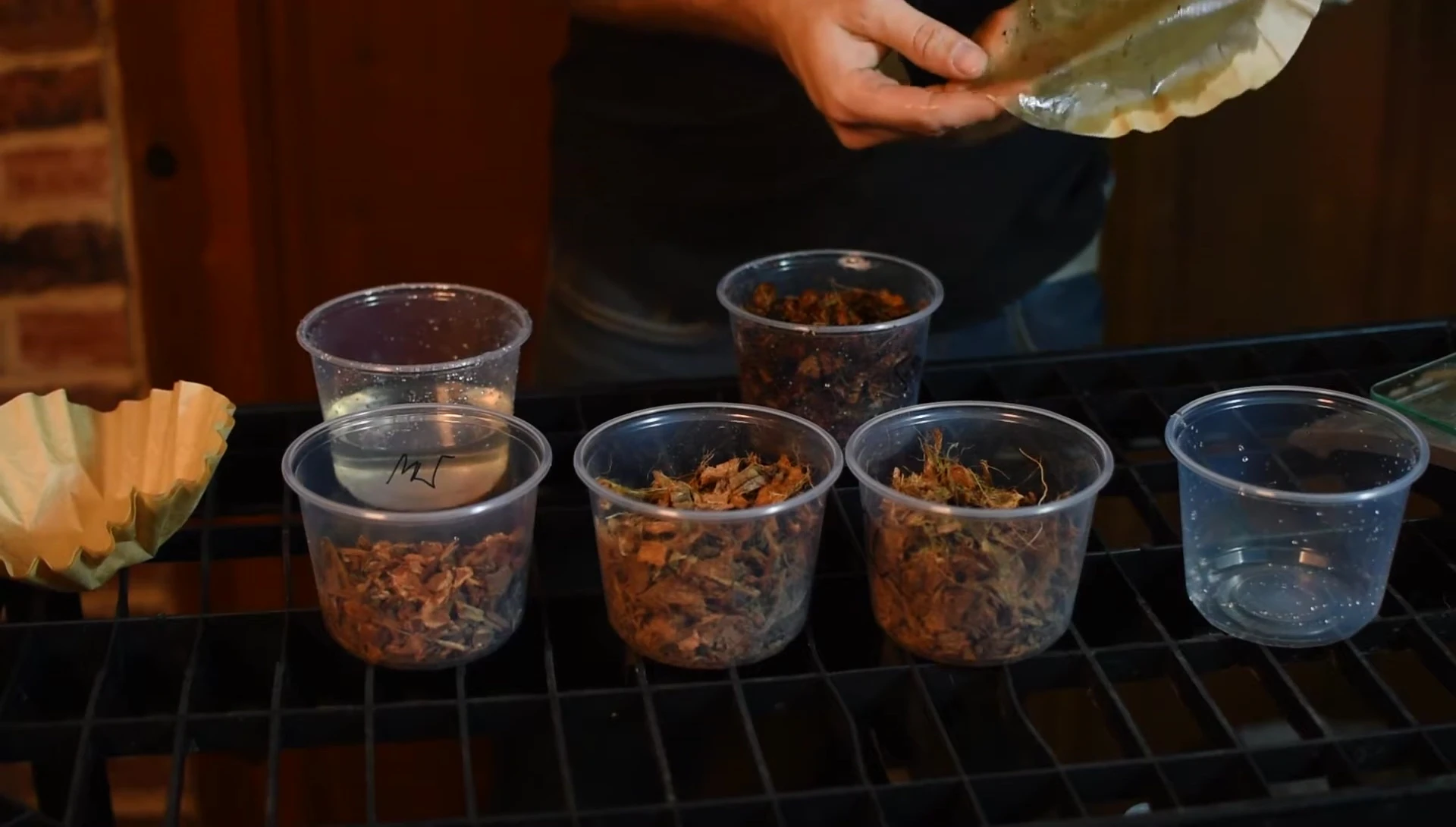 Dust collected from the Freedom Breeder Coco Block
