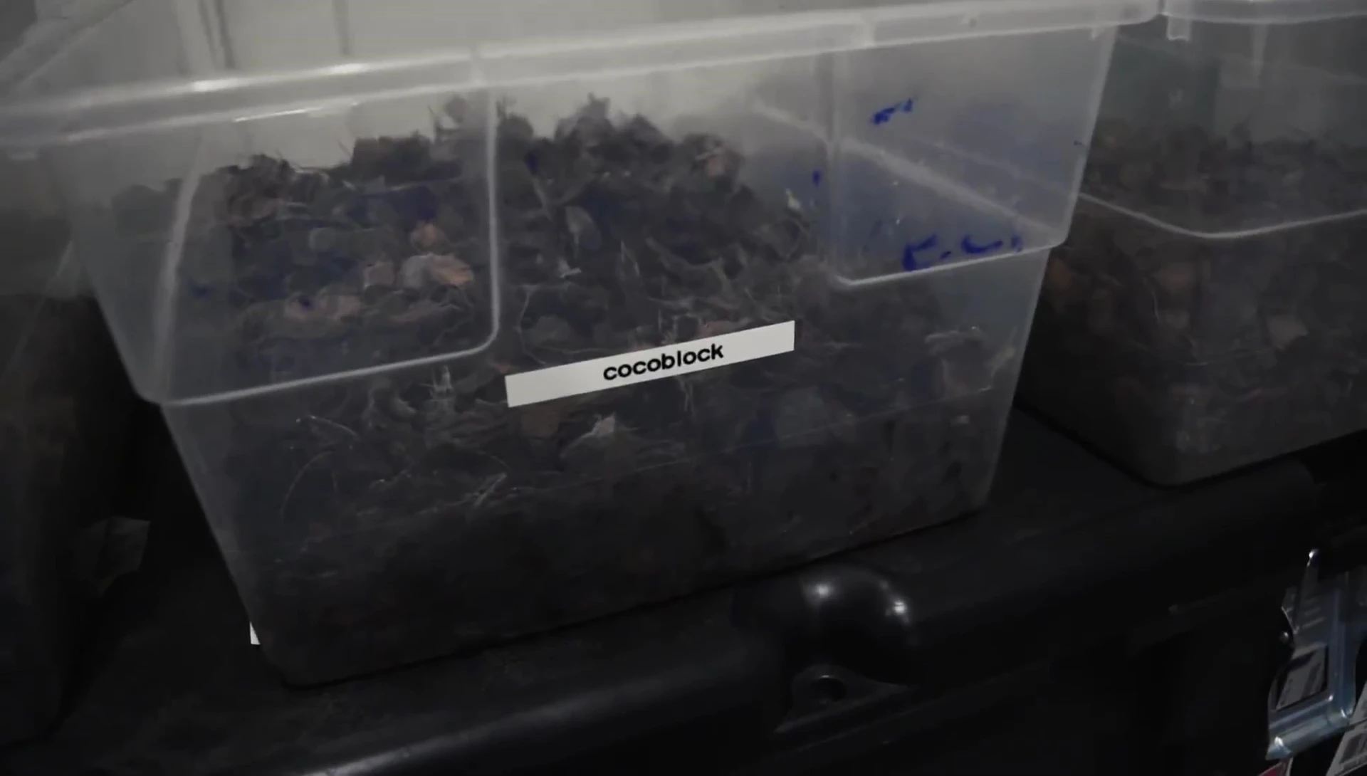 Visual comparison of substrates after 30 days