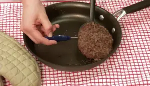 Thermometer Basics: Mastering Food Safety with a Food Thermometer