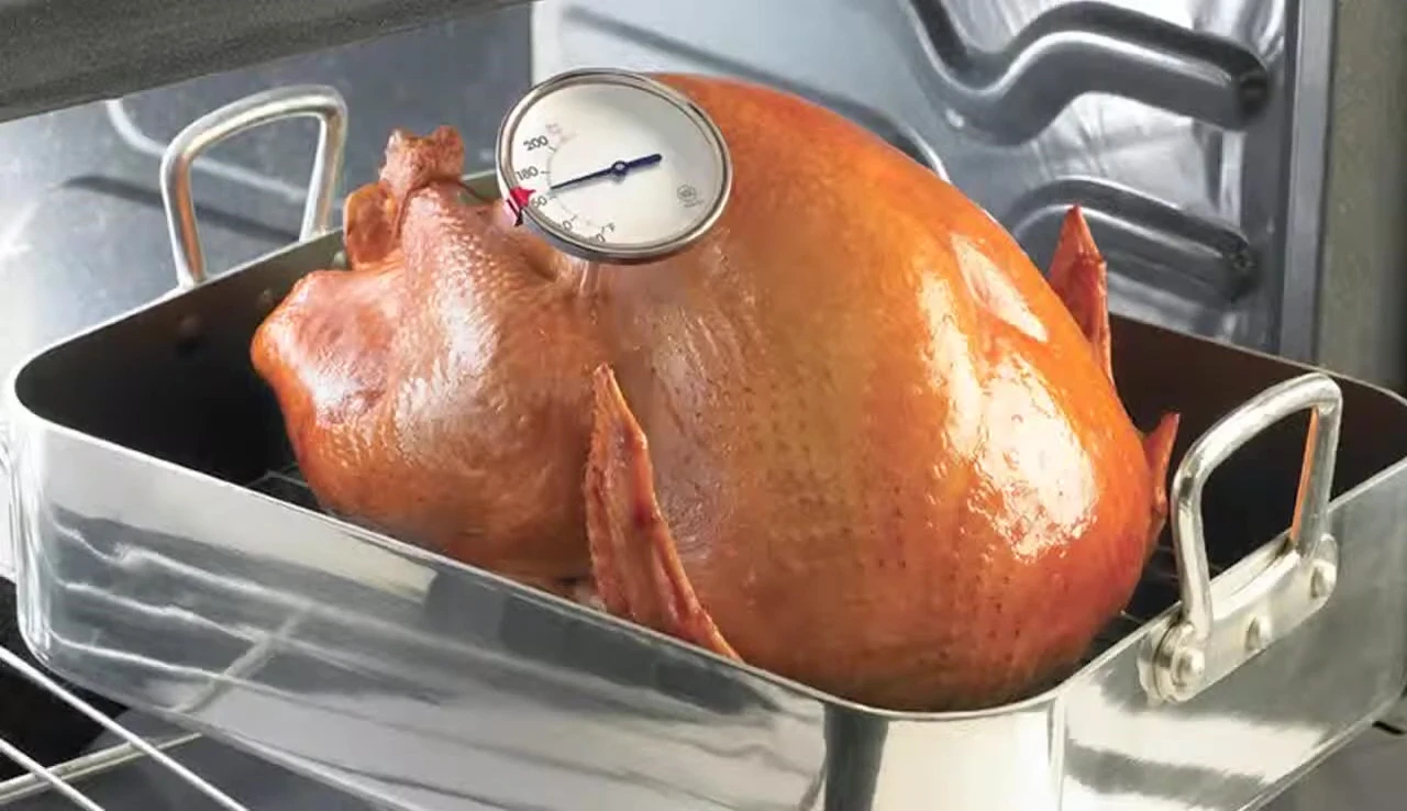 Thermometer inserted into a cooked turkey