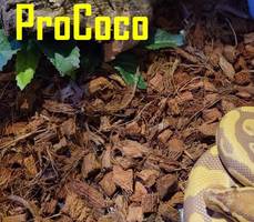 Ball Python Substrate Guide: Best Bedding for Your Snake