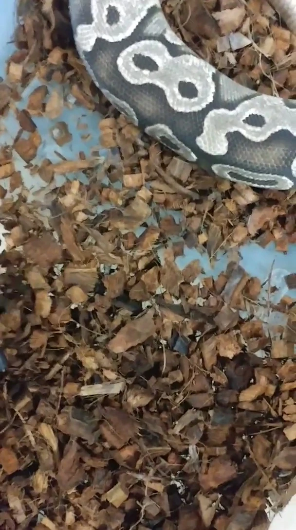 Image of newspaper, used for previous cleaning methods