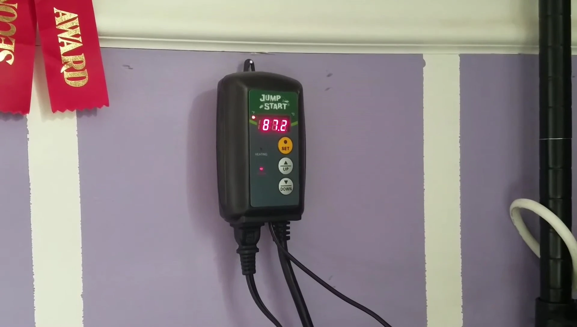 Comparing readings from the JumpStart Thermostat and a Zoo Med thermometer