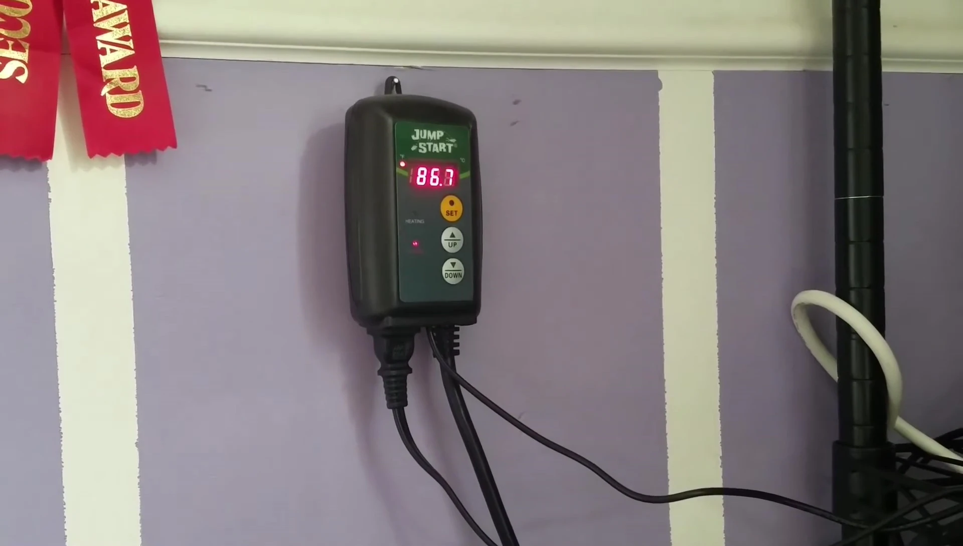 Image showing a heat mat connected to the thermostat.