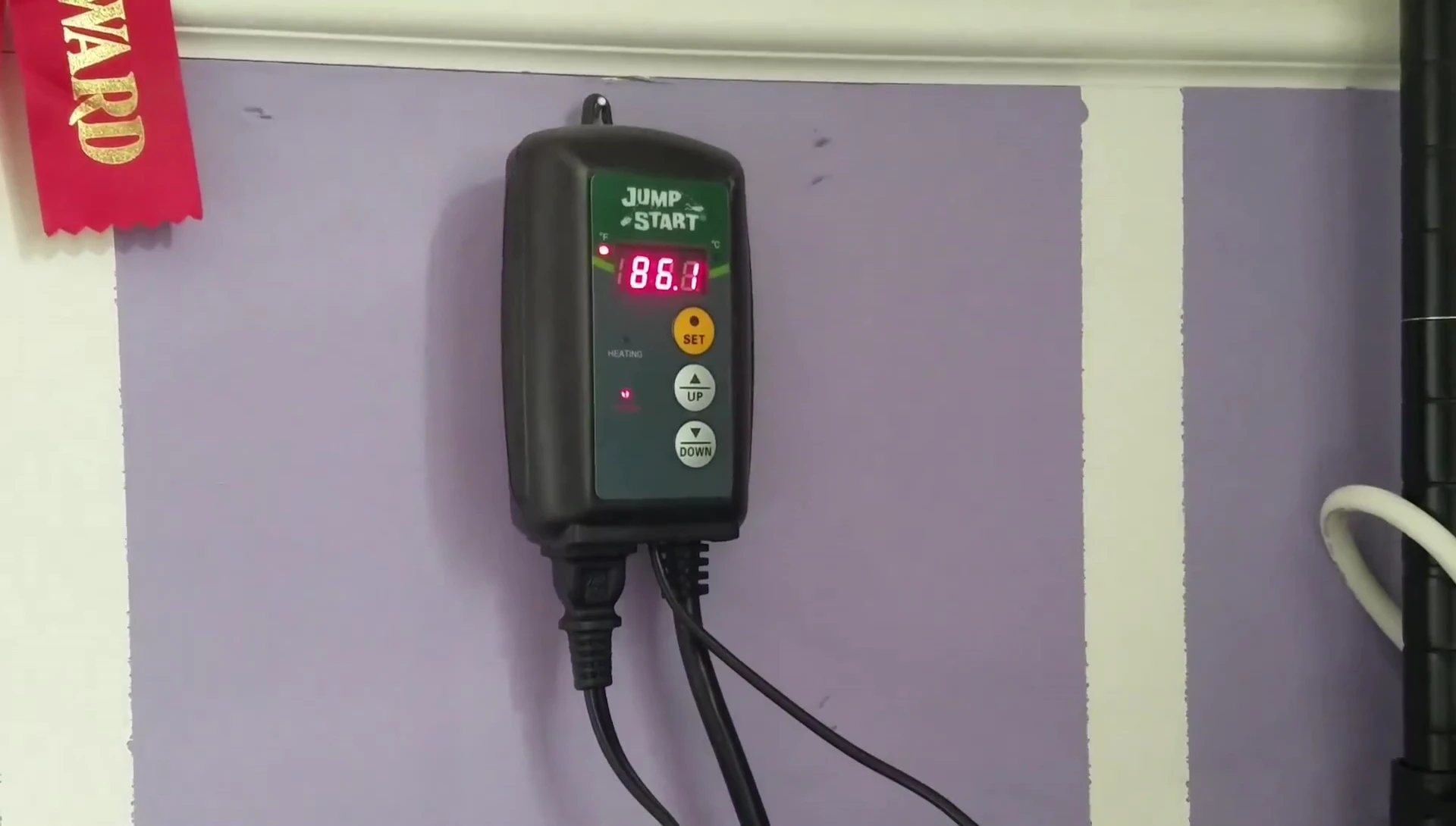 Final shot of the reviewer with the JumpStart Thermostat