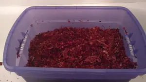 Coconut Substrate Review: Easy Setup & Amazing Results for Reptiles
