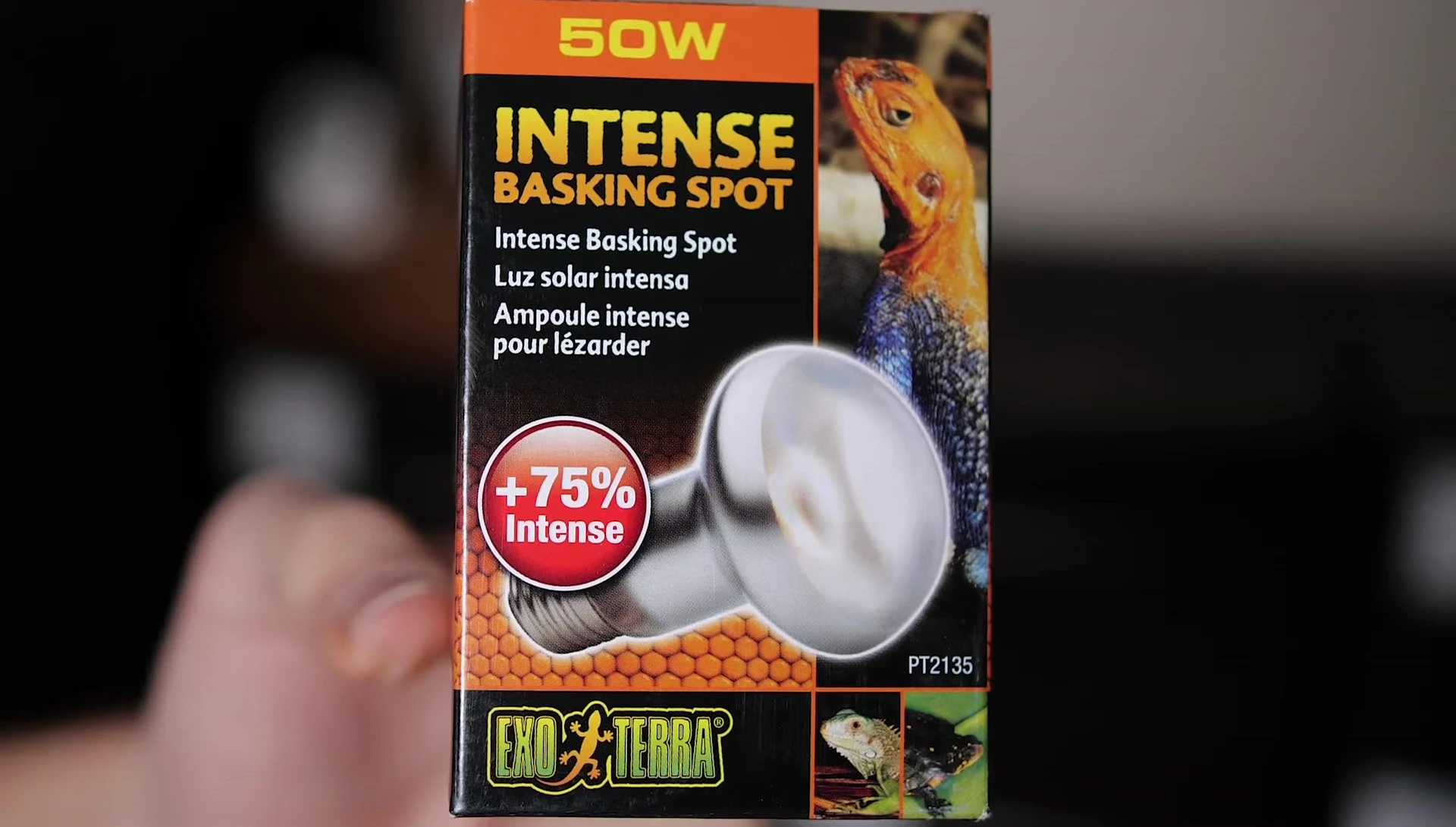 Exo Terra 75-watt Intense Basking Spot bulb shown in the enclosure.
