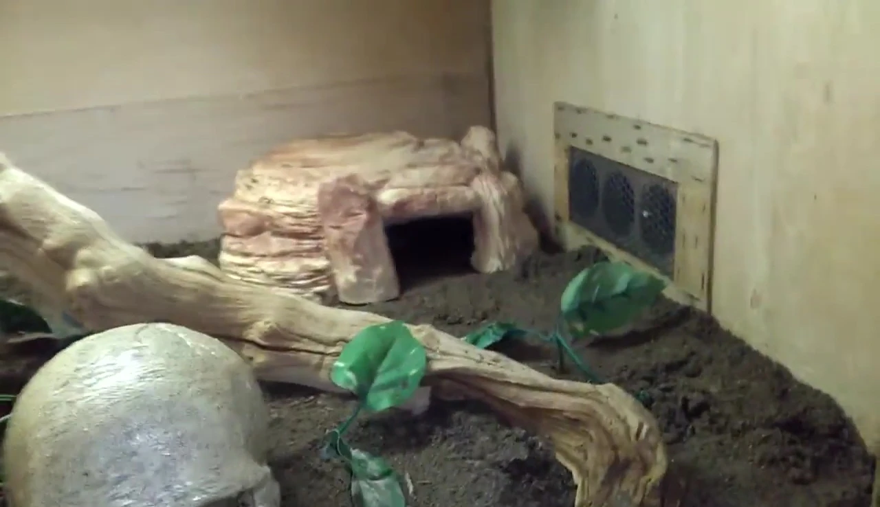 A final shot of the finished water cobra enclosure.