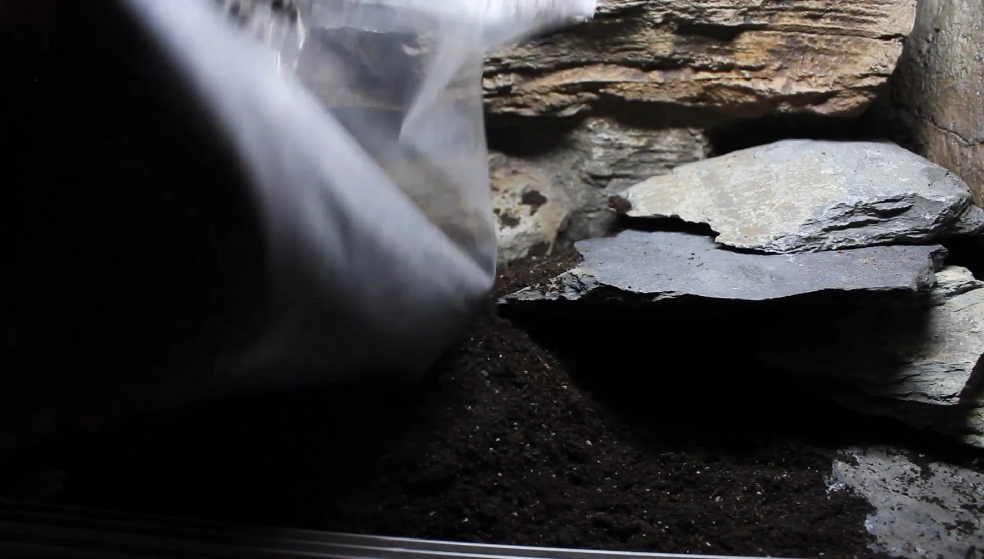 Image highlighting the volcanic rock component of the substrate.