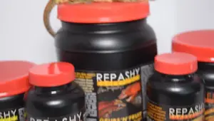 Repashy Gecko Diets: A Comprehensive Review of Formulas and Supplements