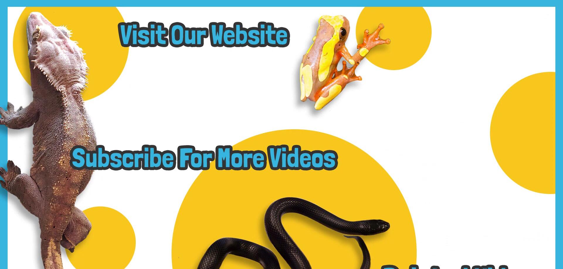 End screen of the video.