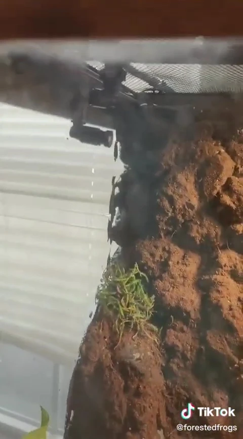 The process of installing the mister's nozzles onto the terrarium.