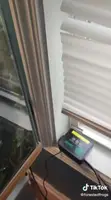 SMART Reptile Mister Review: Affordable Misting System for Terrariums?