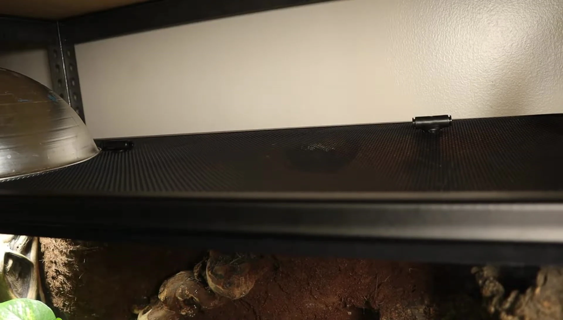 The enclosure with holes cut for the sprinkler heads.
