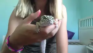 Leopard Gecko Vitamins: A Comprehensive Guide to Calcium, Multivitamins, and More