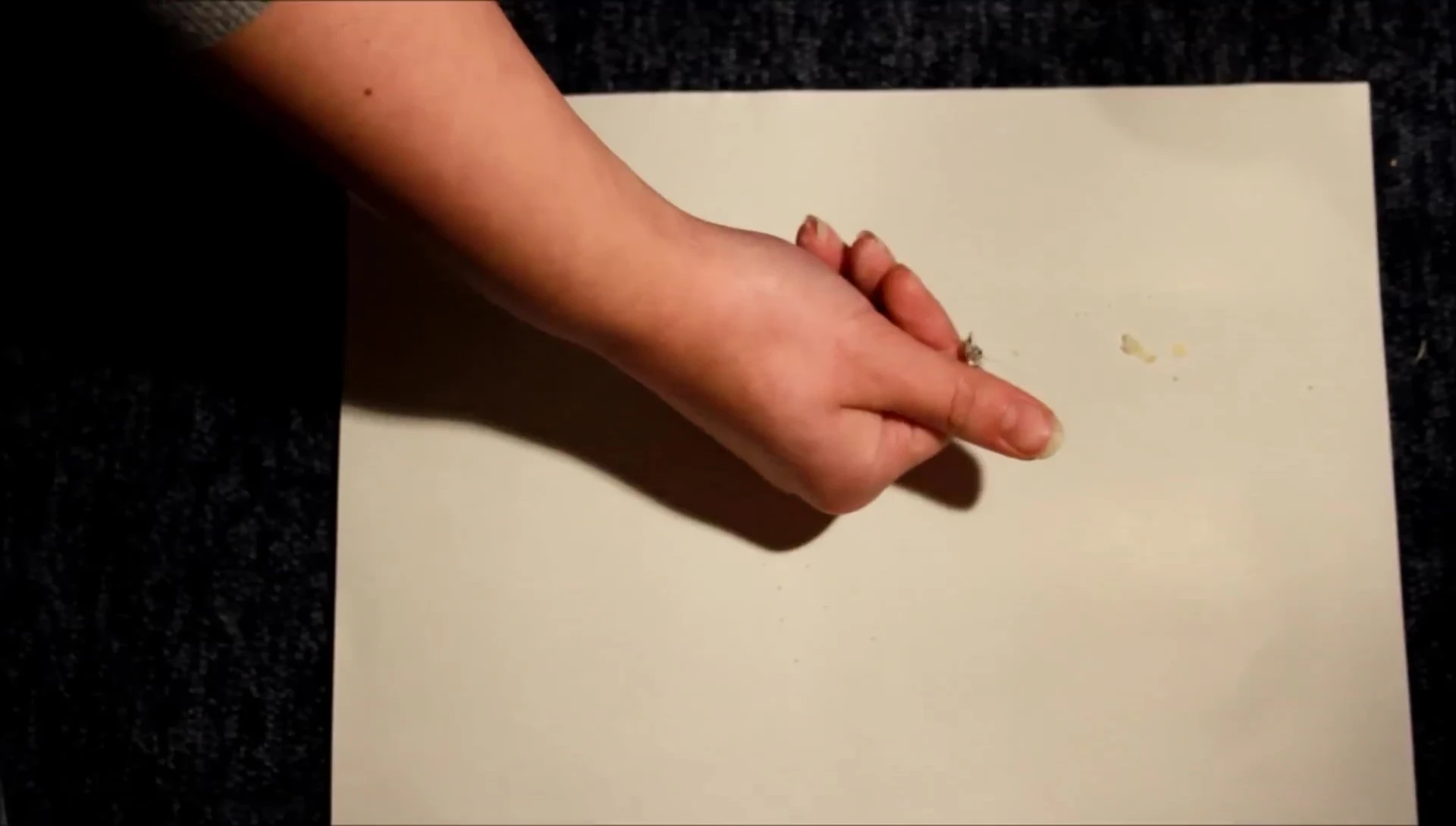 Speaker summarizing the best food for Leopard Gecko.