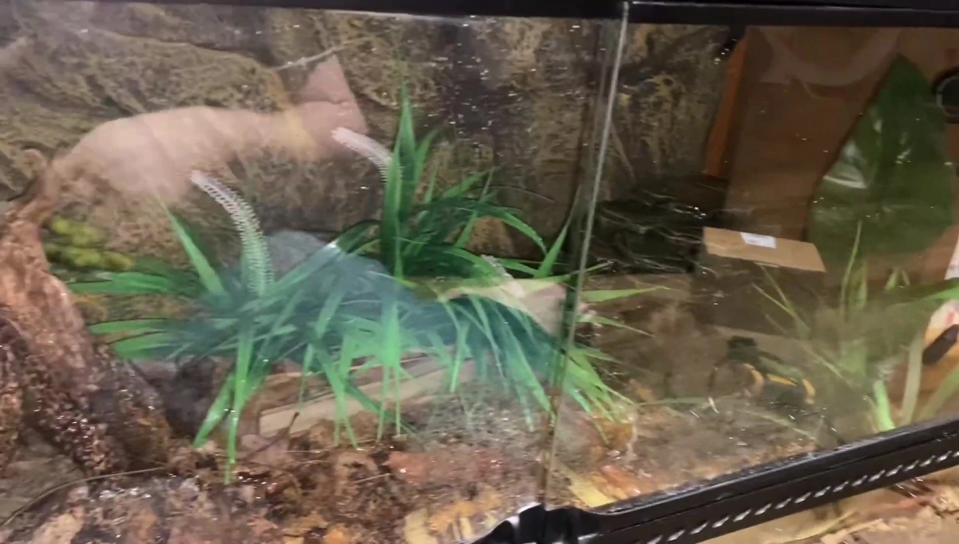 Moisture output demonstration