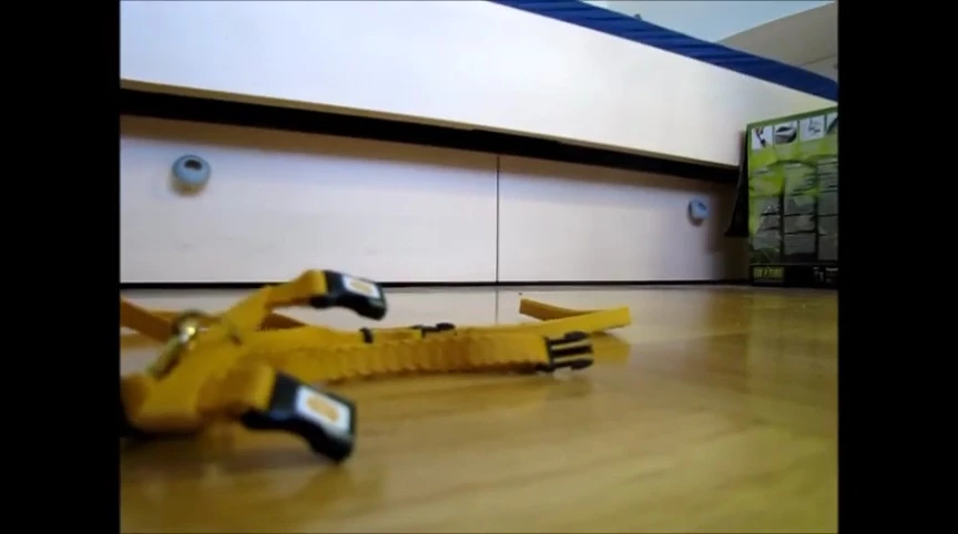 The harness laid out, showcasing its length and features.