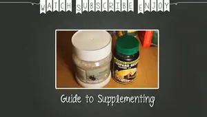Leopard Gecko Supplements: A Comprehensive Guide to Calcium, Phosphorus, and Vitamin D3