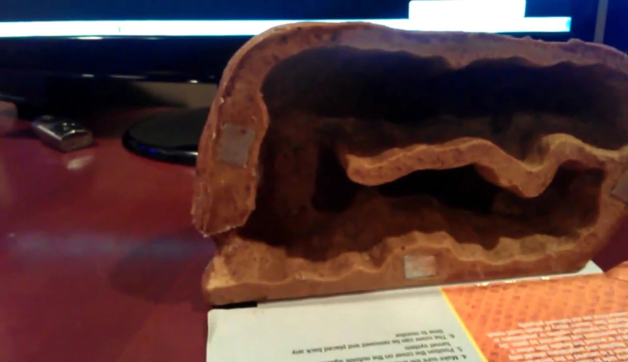 Interior of the large Exo Terra Reptile Den showing ample space