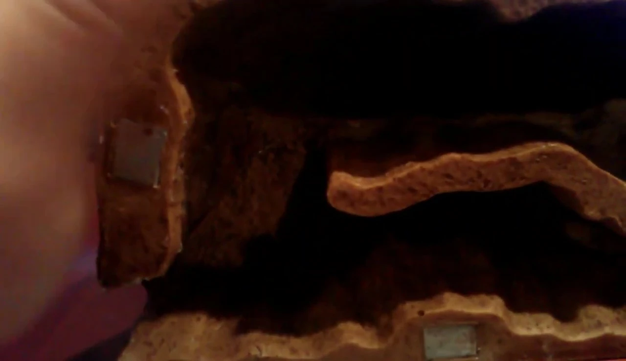 Interior of the den showing darkness